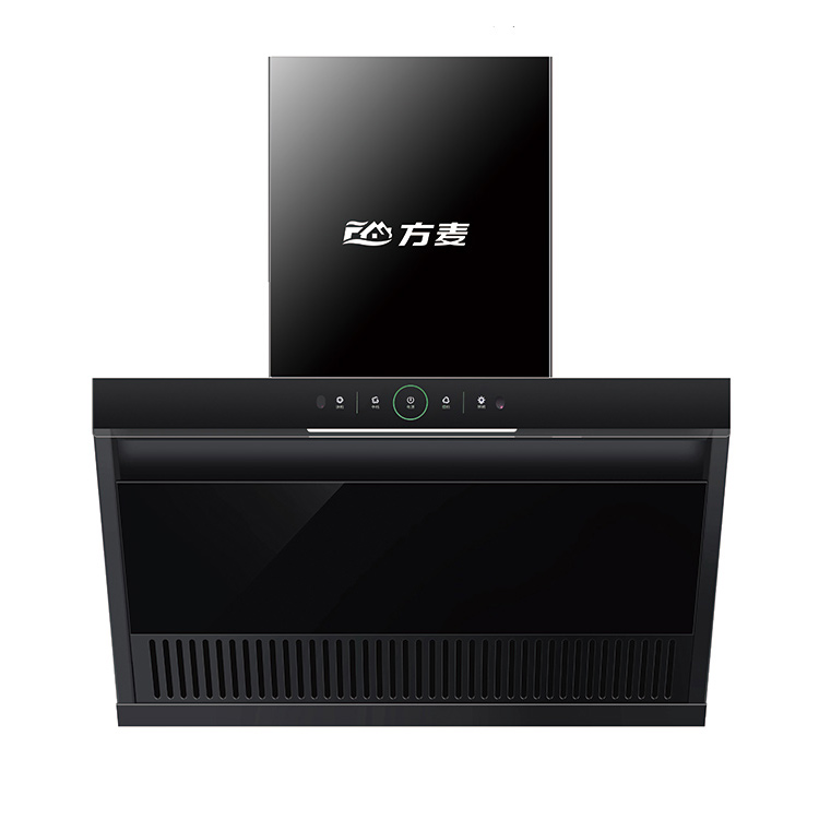 FM-B1