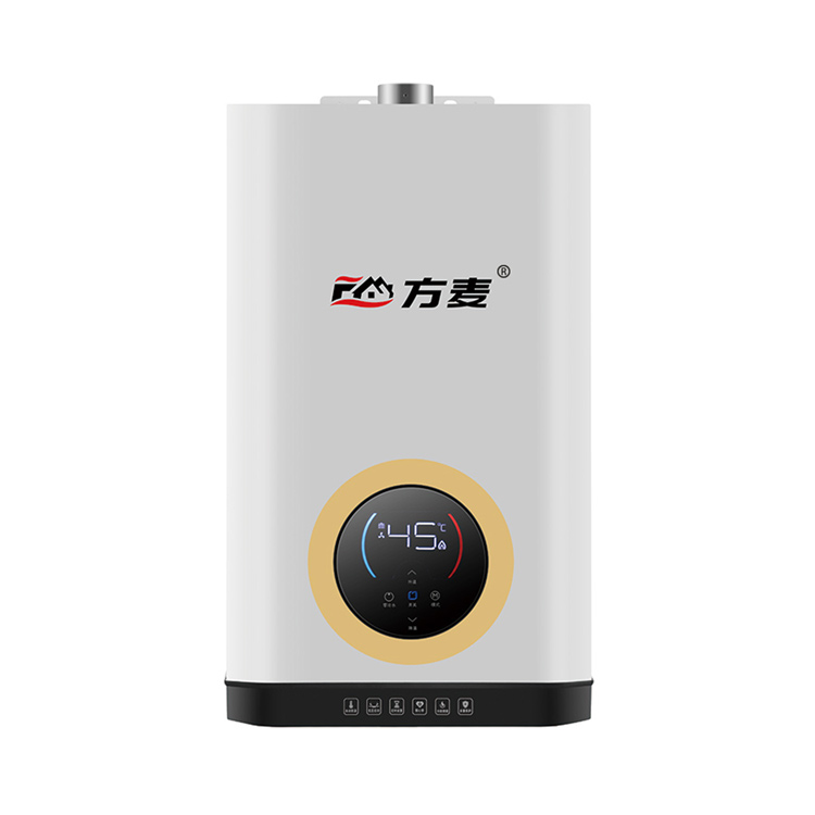 FM-L65